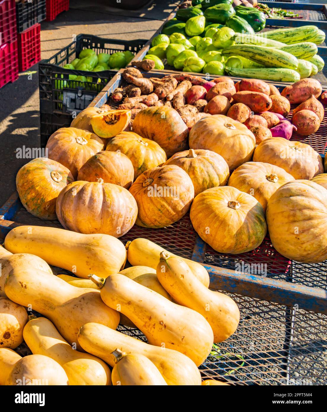 Gemüse zum Verkauf auf dem Bauernmarkt in Jaco, Costa Rica Stockfoto