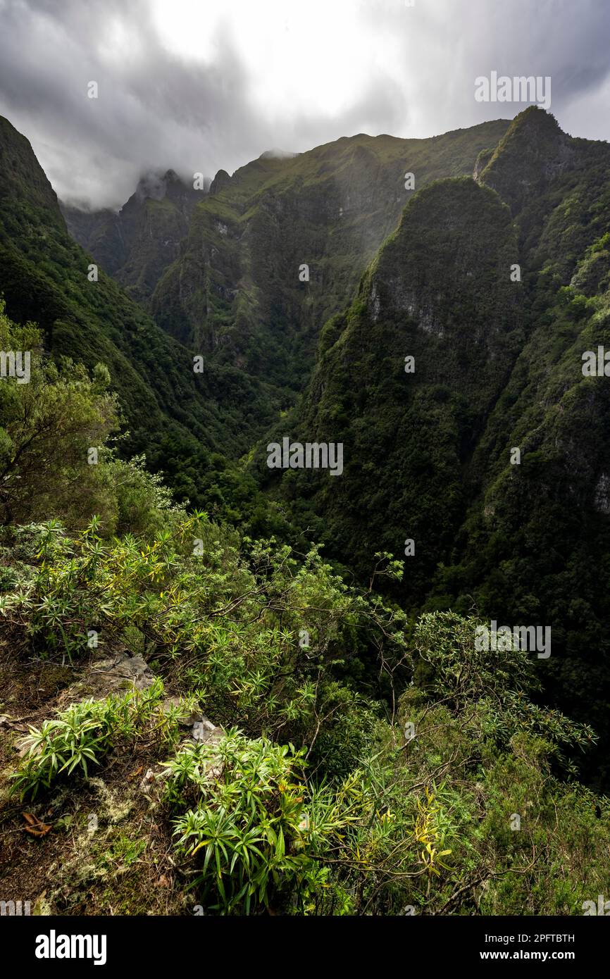 Blick auf bewaldete, wolkenbedeckte Berge und Schluchten, Levada do Caldeirao Verde, Parque Florestal das Queimadas, Madeira, Portugal Stockfoto