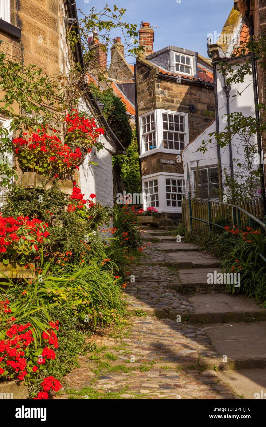 Robin Hood Bay, Yorkshire, Vereinigtes Königreich Stockfoto