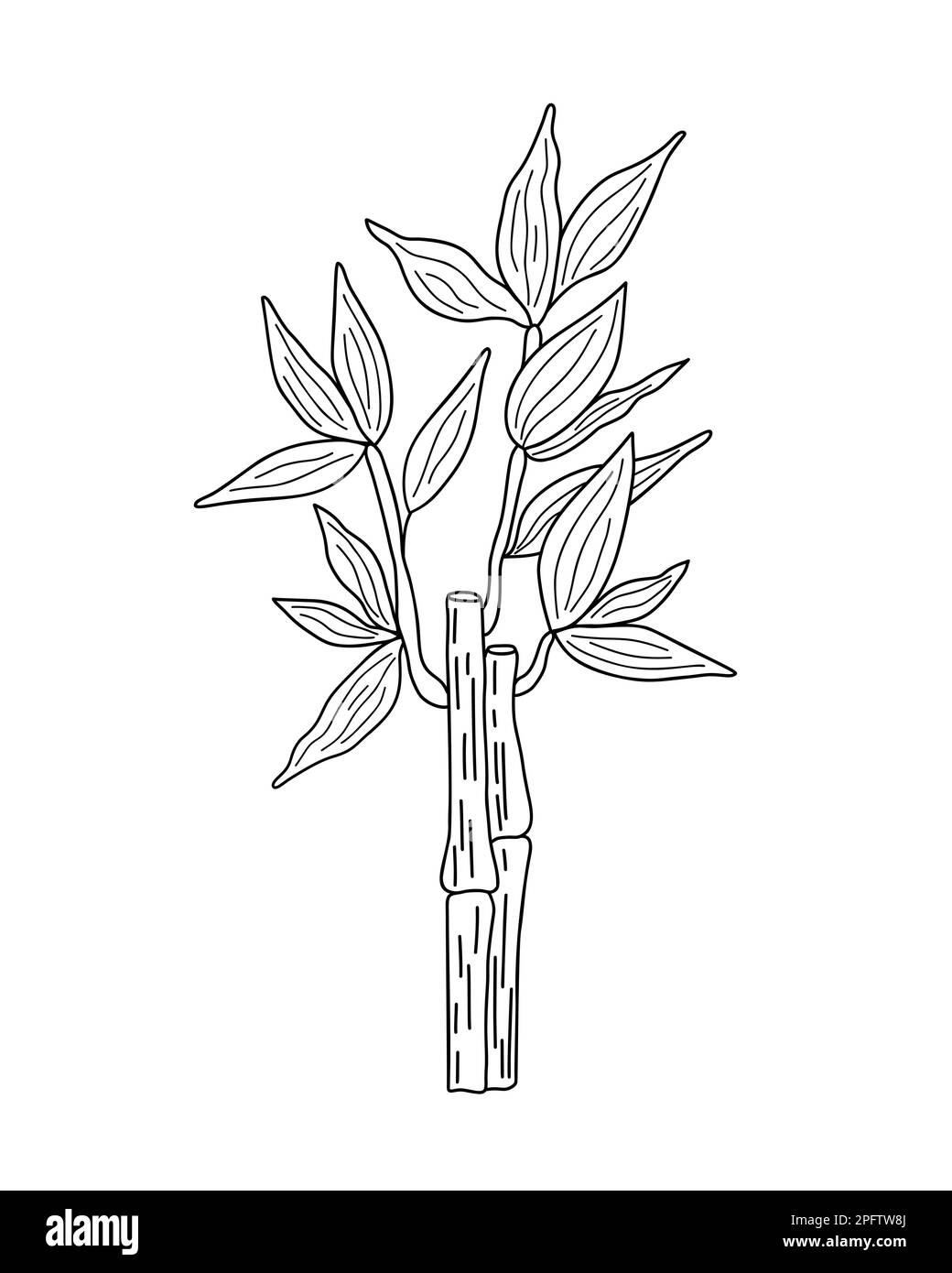 Bambus hinterlässt einen Zweig einfacher linearer Vektorumriss Illustration, traditionelle japanische Pflanze, orientalische dekorative Verzierung für Design, Grußkarte, Vorlage, Banner, Zen Konzept Stock Vektor