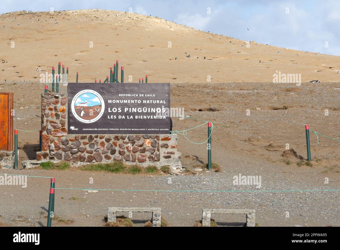 Punta Arenas, Chile - 30. Januar 2023: Das Zeichen des Los Pinguinos Natural Monument am Eingang zur Insel Magdalena in der Nähe von Punta Arenas, Chile. Stockfoto