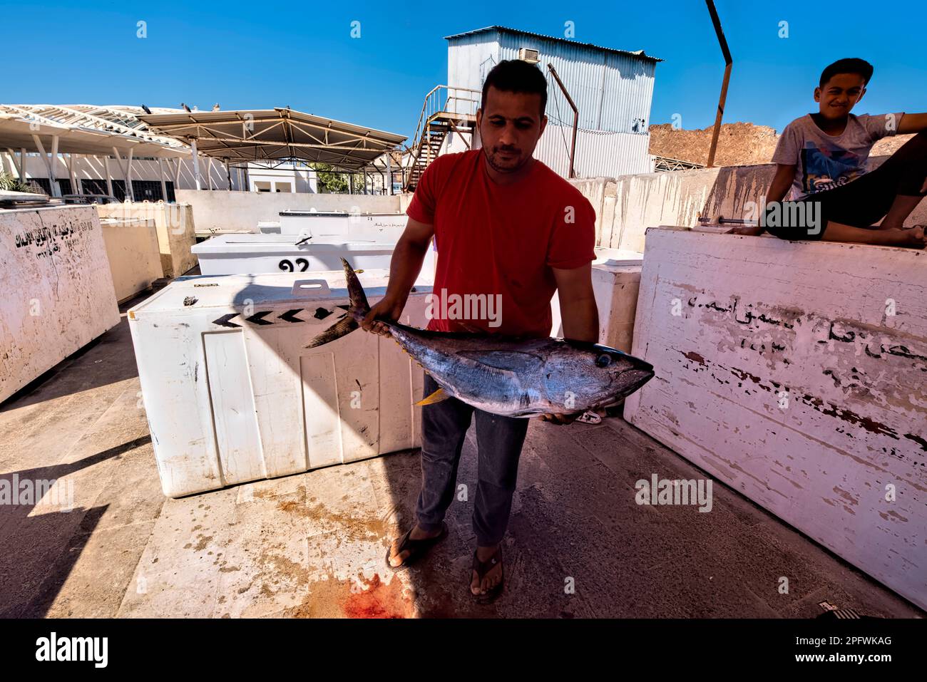 Frischer Gelbflossenthun auf dem Fischmarkt, Mutrah Souq, Muscat, Oman Stockfoto