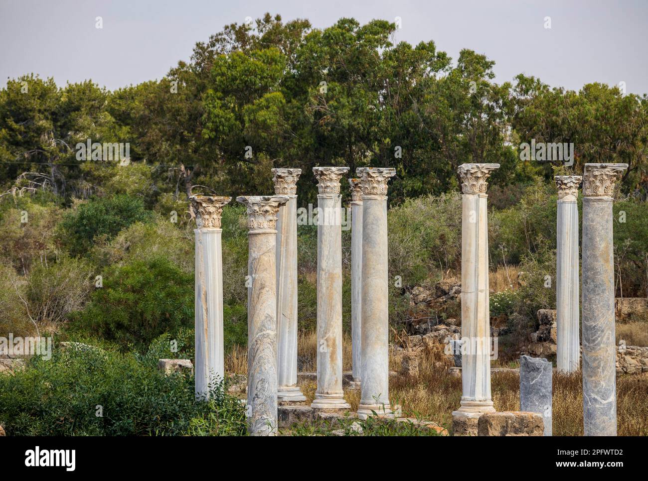 7. Juni 2022, Famagusta, Zypern: Säulen des Gymnasiums in Salamis mit mehreren römischen Bädern in der Nähe. Salamis war ein alter griechischer Stadtstaat an der Ostküste Zyperns, an der Mündung des Flusses Pedieos, nahe dem modernen Famagusta. Der Gründer von Salamis war Teucer, Sohn von Telamon, König der griechischen Insel Salamis, der nach dem Trojanischen Krieg nicht nach Hause zurückkehren konnte, weil er es versäumt hatte, seinen Bruder Ajax zu rächen. Archäologische Funde reichen bis ins 11. Jahrhundert v. Chr. zurück, späte Bronzezeit. Das „Kulturzentrum“ Salamis während der Römerzeit hat ein Gymnasium, Theater, Amphitheater, Stadion und Stockfoto