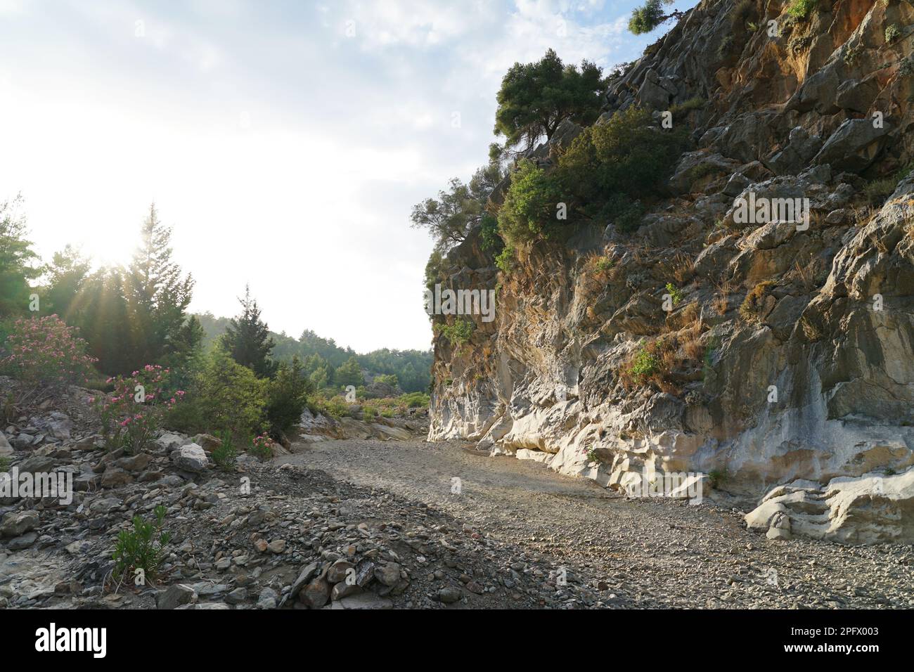 Schlucht auf Rhodos Griechische Insel Trockenfluss im Sommer Schlucht in Rhodos Griechenland Insel mit trockenen Fluss im Sommer Landschaft Landschaft Stockfoto