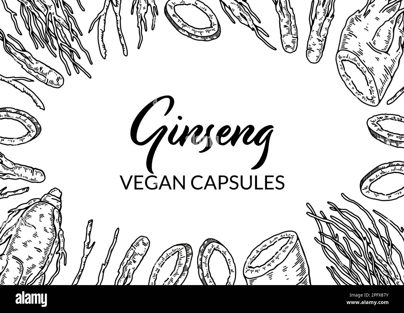 Ginseng horizontal Design. Handgezeichnete botanische Vektorgrafik im Skizzenstil. Kann für Verpackung, Etikett, Abzeichen verwendet werden. Kräutermedizin Backgrou Stock Vektor