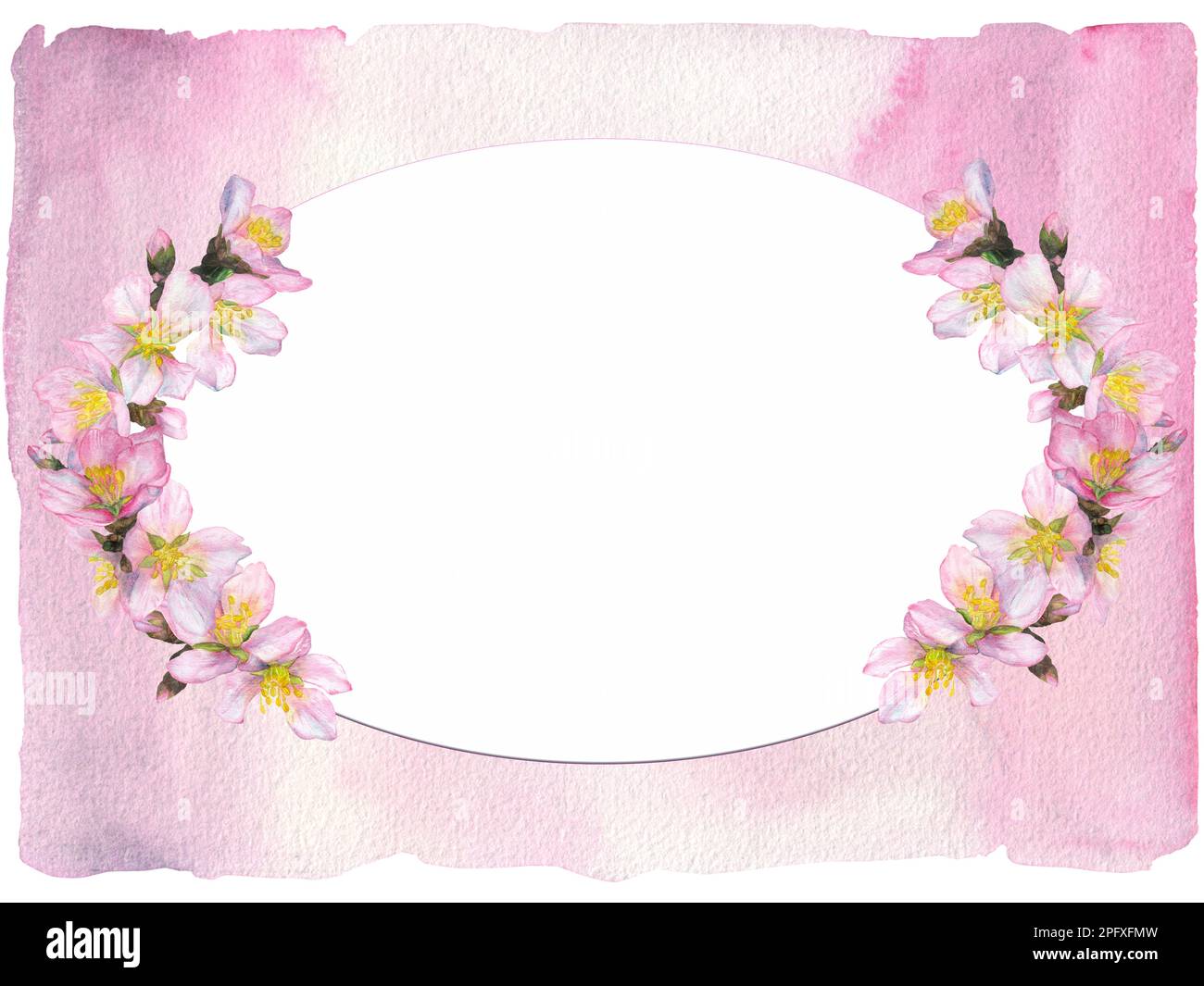Aquarelle Illustration, ovaler Rahmen mit halbkreisförmigen Kirschblüten auf pinkfarbenem, wasserfarbenem Hintergrund. Geeignet für das Design von Pfosten Stockfoto