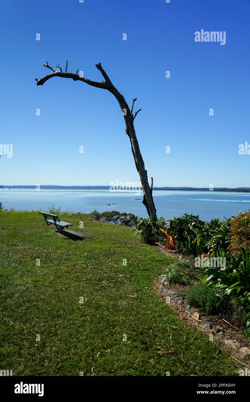 Park mit einer Sitzbank neben einem toten Baum und Blick über das Wasser der Moreton Bay zu den Inseln am Horizont Stockfoto