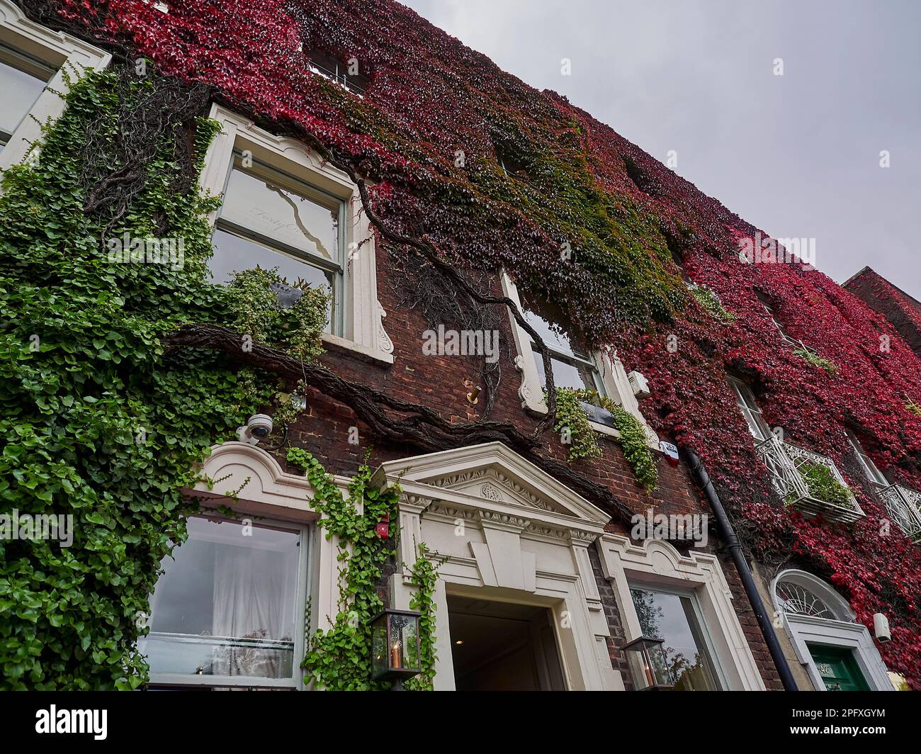 Dublin, Irland - 09 25 2015: Typisches Stadthaus mit überwucherten Mauern von farbenfrohem Efeu in den Straßen von Dublin an einem sonnigen Tag Stockfoto