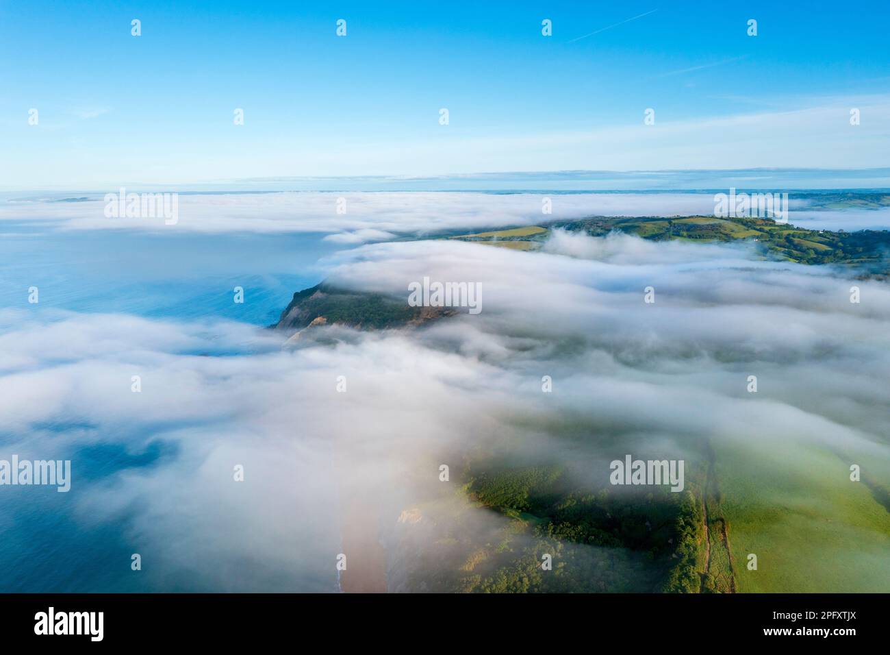 Golden Cap, Chideock, Dorset, England, Vereinigtes Königreich, Europa Stockfoto