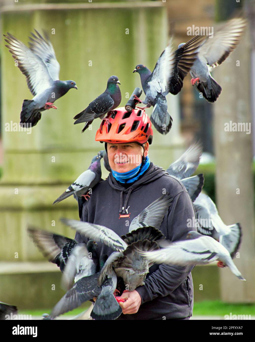 Glasgow, Schottland, Vereinigtes Königreich, 19. März 2023. UK Weather: Sonnig im Stadtzentrum am Nachmittag gingen die Einheimischen auf die Straßen. George Square hat ein ziemliches Problem damit, dass Leute die fliegenden Ratten füttern und eine Bevölkerungsexplosion verursachen. Credit Gerard Ferry/Alamy Live News Stockfoto