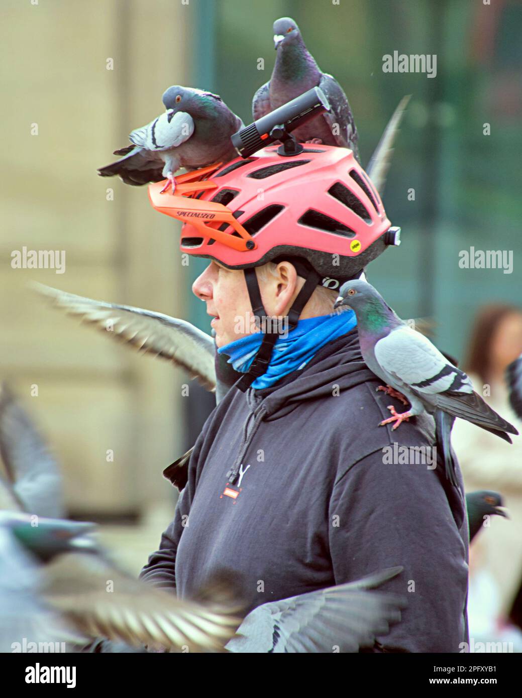 Glasgow, Schottland, Vereinigtes Königreich, 19. März 2023. UK Weather: Sonnig im Stadtzentrum am Nachmittag gingen die Einheimischen auf die Straßen. George Square hat ein ziemliches Problem damit, dass Leute die fliegenden Ratten füttern und eine Bevölkerungsexplosion verursachen. Credit Gerard Ferry/Alamy Live News Stockfoto