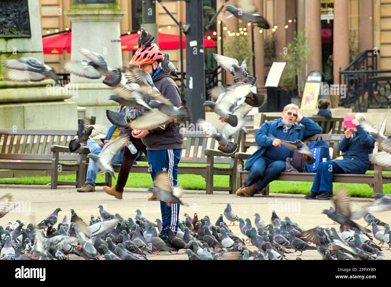 Glasgow, Schottland, Vereinigtes Königreich, 19. März 2023. UK Weather: Sonnig im Stadtzentrum am Nachmittag gingen die Einheimischen auf die Straßen. George Square hat ein ziemliches Problem damit, dass Leute die fliegenden Ratten füttern und eine Bevölkerungsexplosion verursachen. Credit Gerard Ferry/Alamy Live News Stockfoto