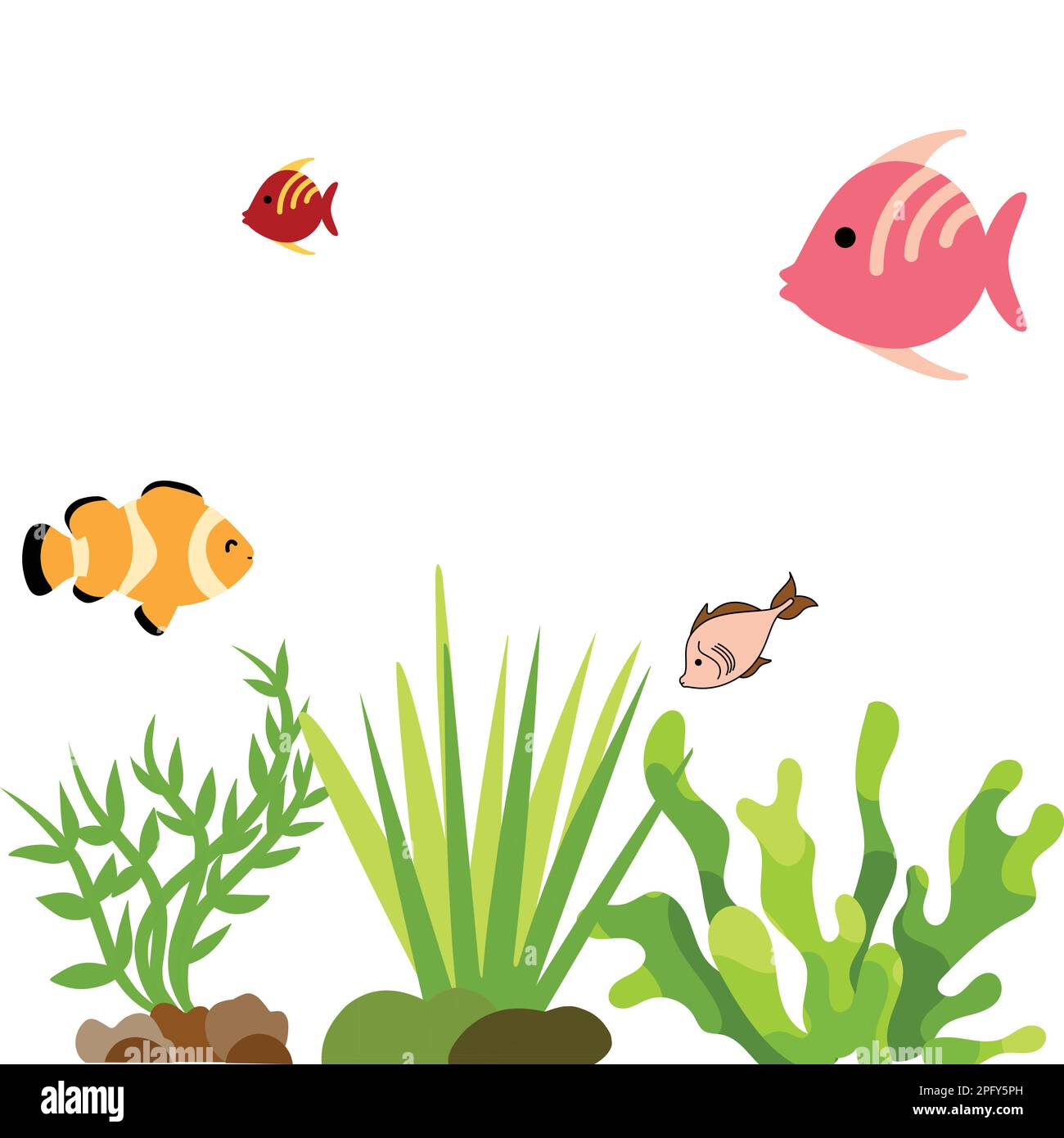 Farbenfrohes Aquarium. Einrichtung des Fischtanks. Schöne Fische im Aquarium. Aquarium-Einrichtung Stock Vektor