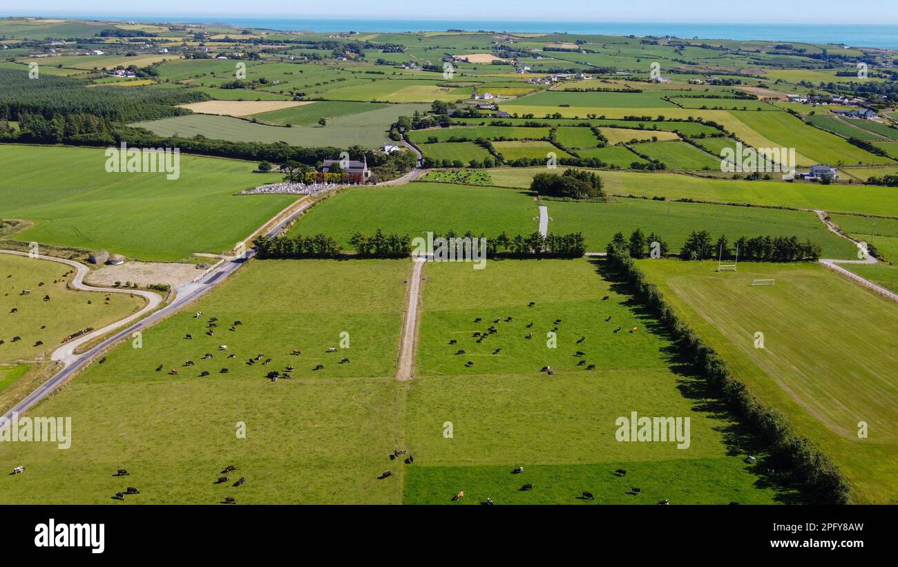 Ackerland im Süden Irlands an einem sonnigen Sommertag. Malerische landwirtschaftliche Landschaft, Draufsicht. Ländlicher Raum. Grünes Grasfeld und Tiere auf dem Stockfoto