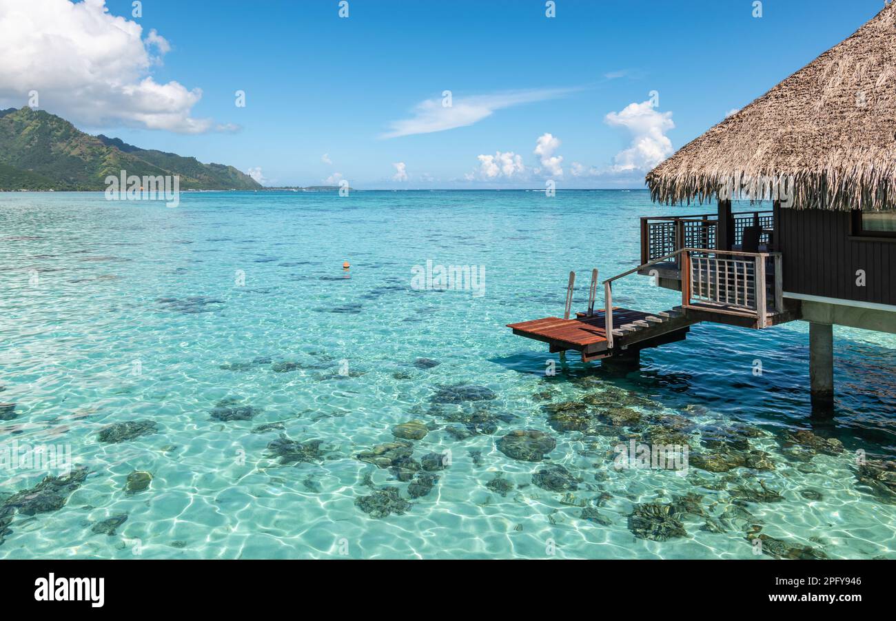 Tropische Lagune in Moorea, Französisch-Polynesien. Stockfoto