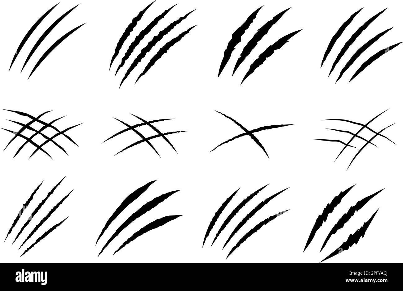 Schwarze Kratzer. Bärentiger Klauenspuren, von Tieren zerkratztes weißes Papier. Löwen oder Dinosaurier flache Kratzspuren, wilde Bestien verfolgen Vektor Stock Vektor