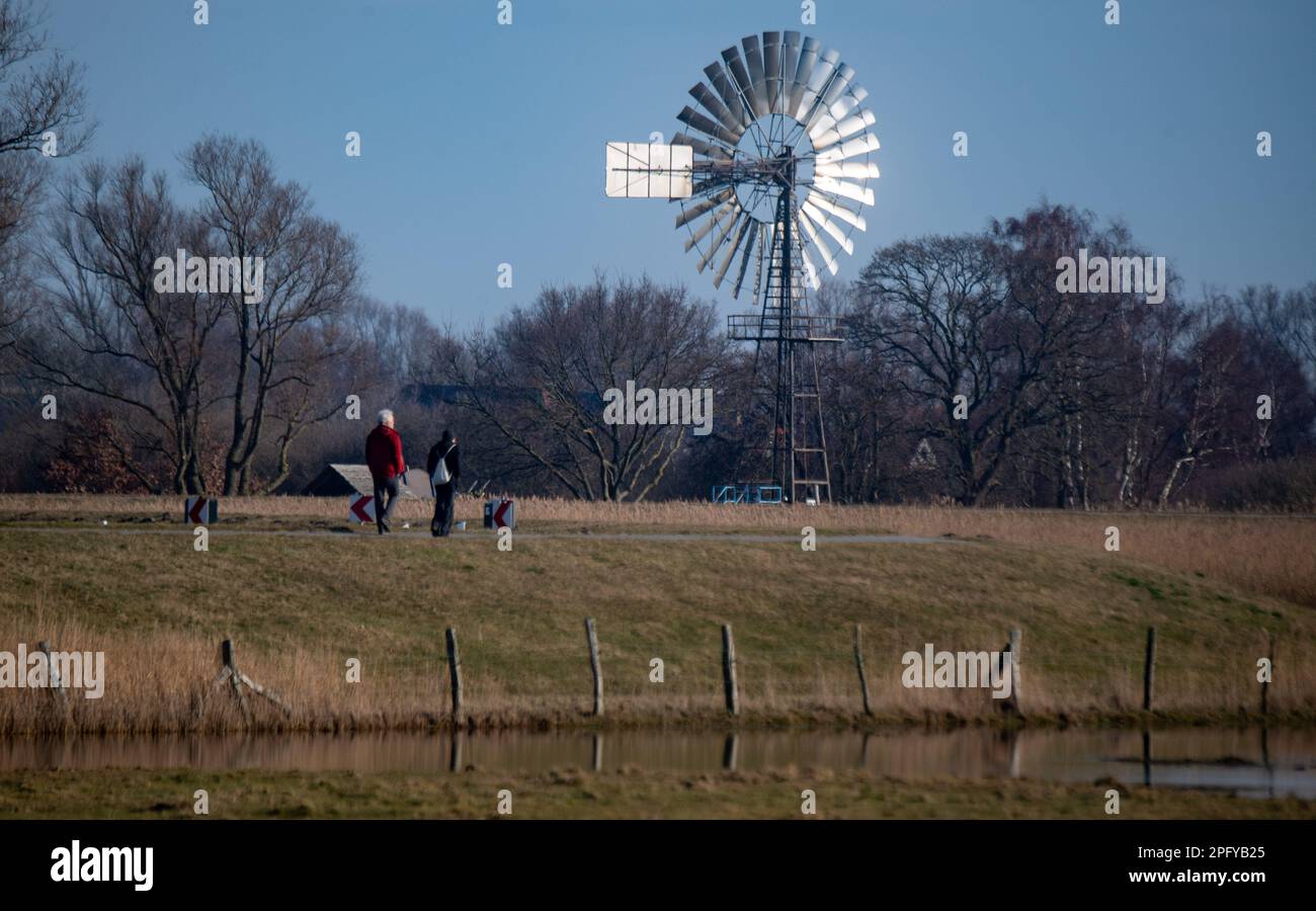 Lobbe, Deutschland. 19. März 2023. Eine 1920 erbaute Windschaufelanlage steht in der Nähe von Lobbe an einem Deich. Das technische Denkmal, eine von über 30 Windschaufeln, die zwischen 1900 und 1965 auf der Insel Rügen betrieben wurden, ist das einzige, das heute erhalten geblieben ist. Kredit: Stefan Sauer/dpa/Alamy Live News Stockfoto