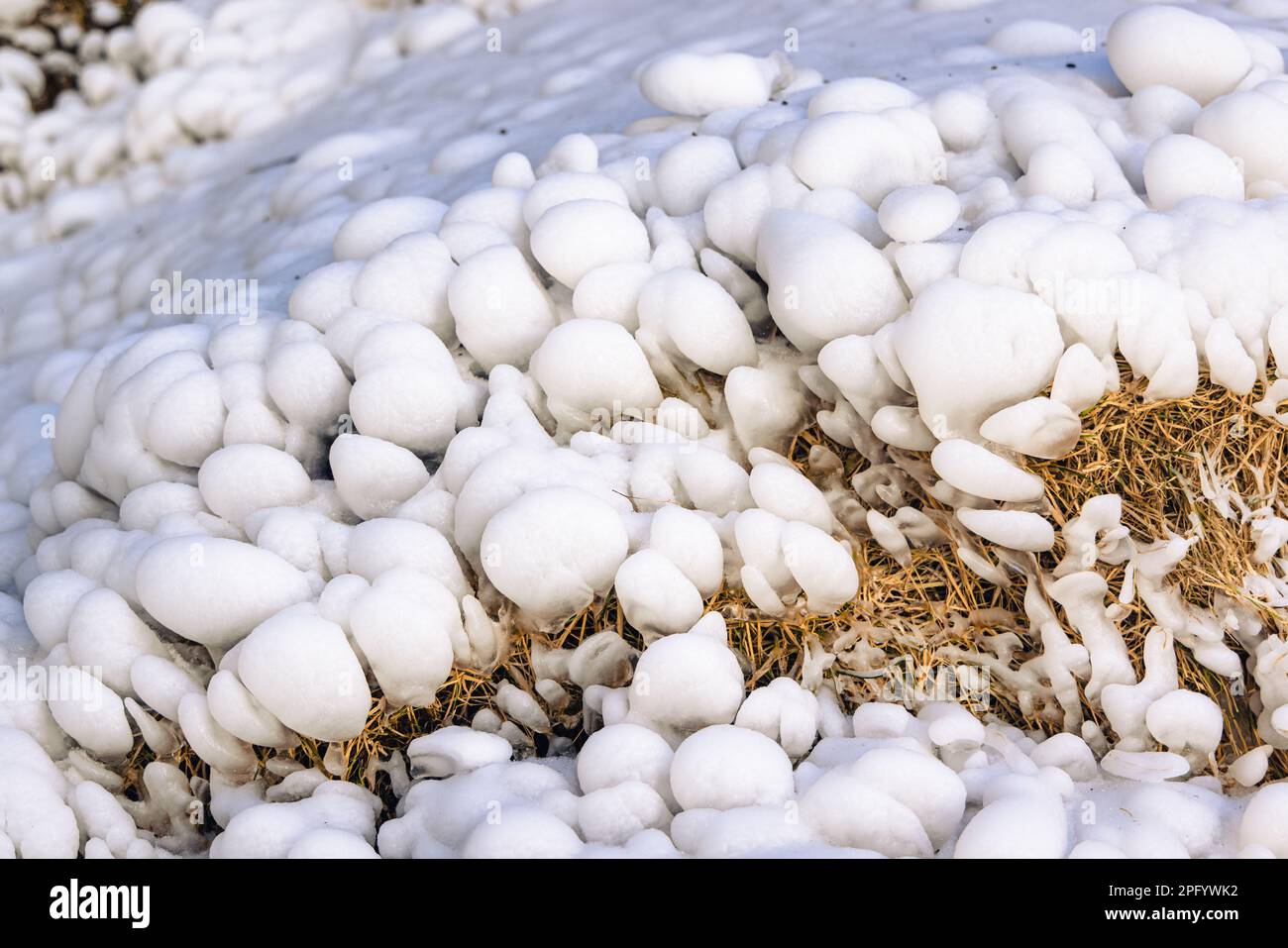 Gefrorenes Grasmuster aus Geysir, Island Stockfoto