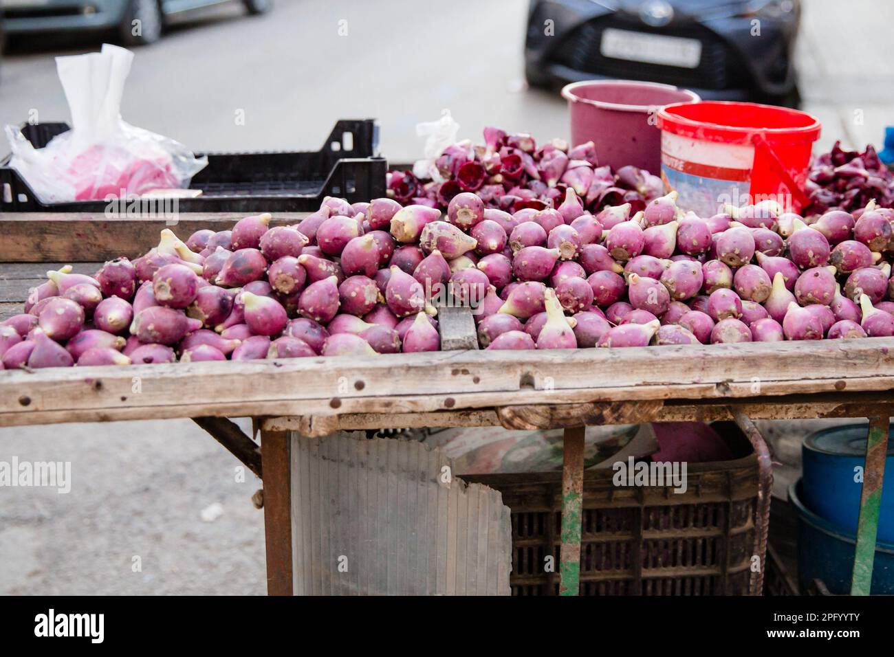 Lila Kaktusfrucht/Stachelfeige auf einem Straßenmarkt schicken nach Fez Stockfoto