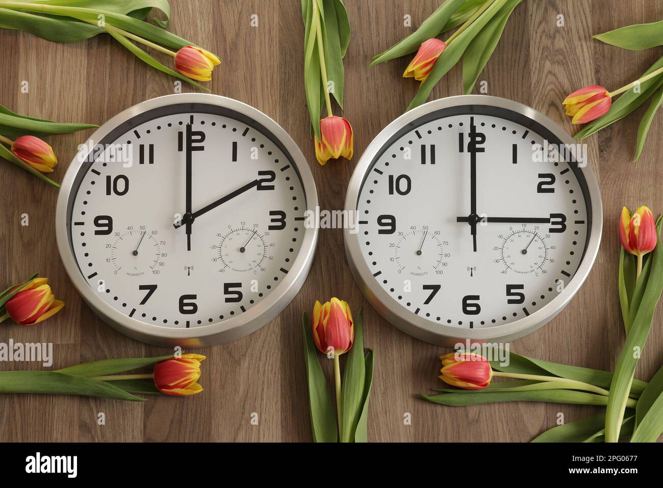 Zwei Uhren, eine auf zwei Uhr, die andere auf drei Uhr. Tulpen liegen