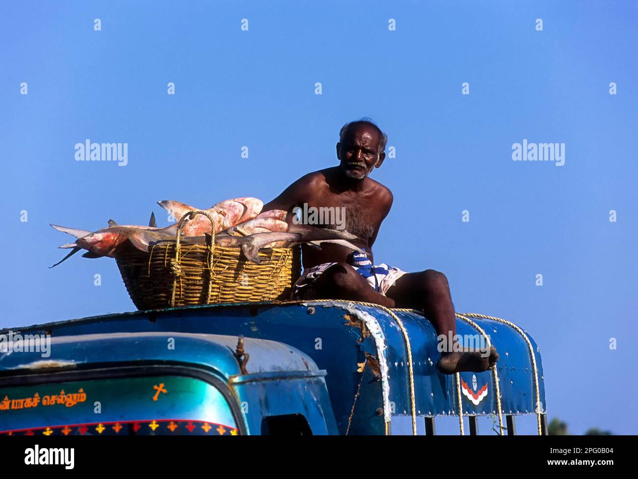 Fischer sitzen auf dem Dach des Minibusses mit einem Korb voller Fische in Dhanushkodi oder Danushkodi, auf dem Weg nach Rameswaram, Tamil Nadu, Indien, Asien Stockfoto