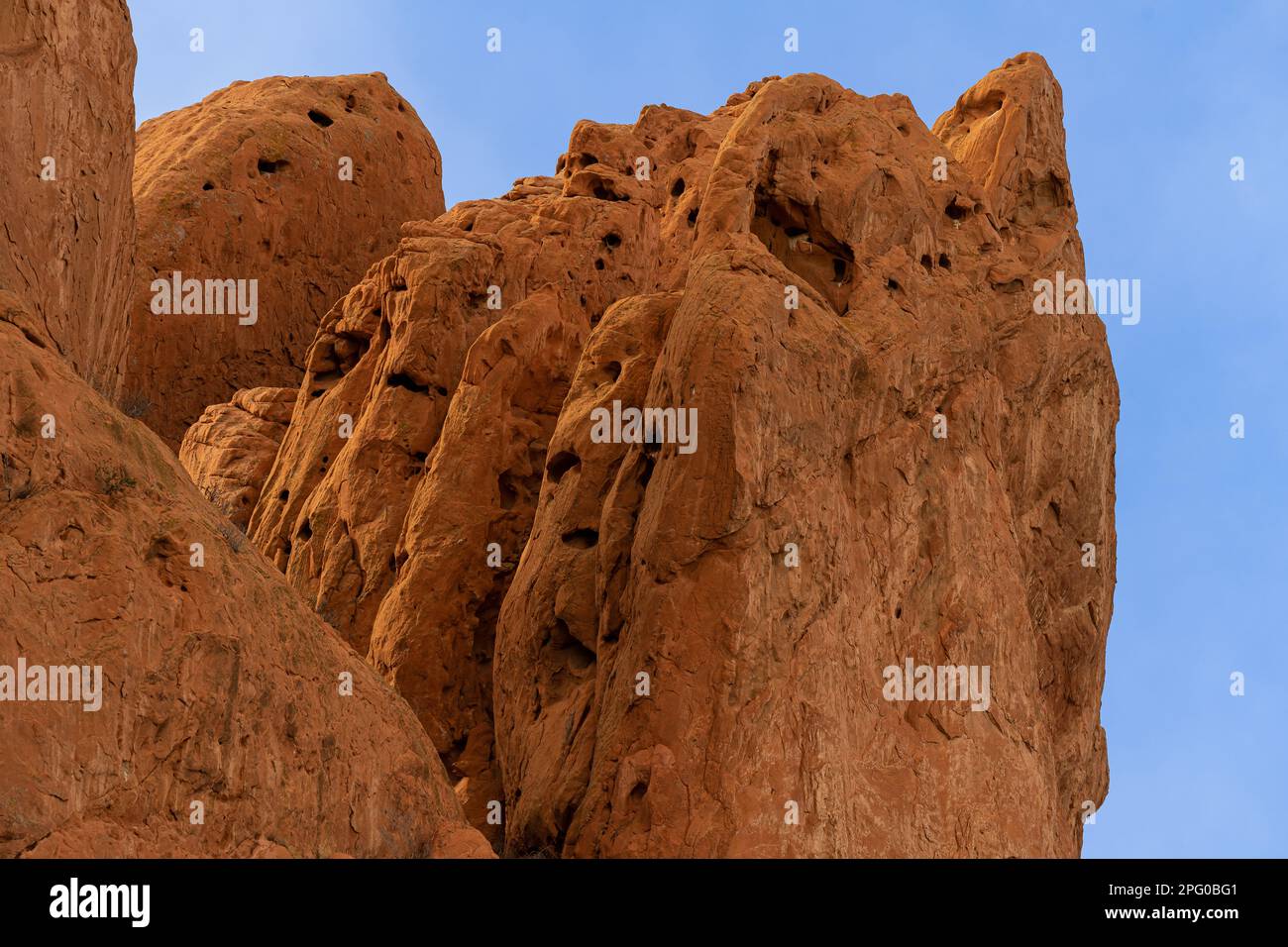 Rote Sandsteinfelsen mit interessanter Textur, Gruben, Stechspuren, Wind- und Wassererosion, Spalten, glatten Kanten, Bäume, die Flossen der Felsen wachsen Stockfoto