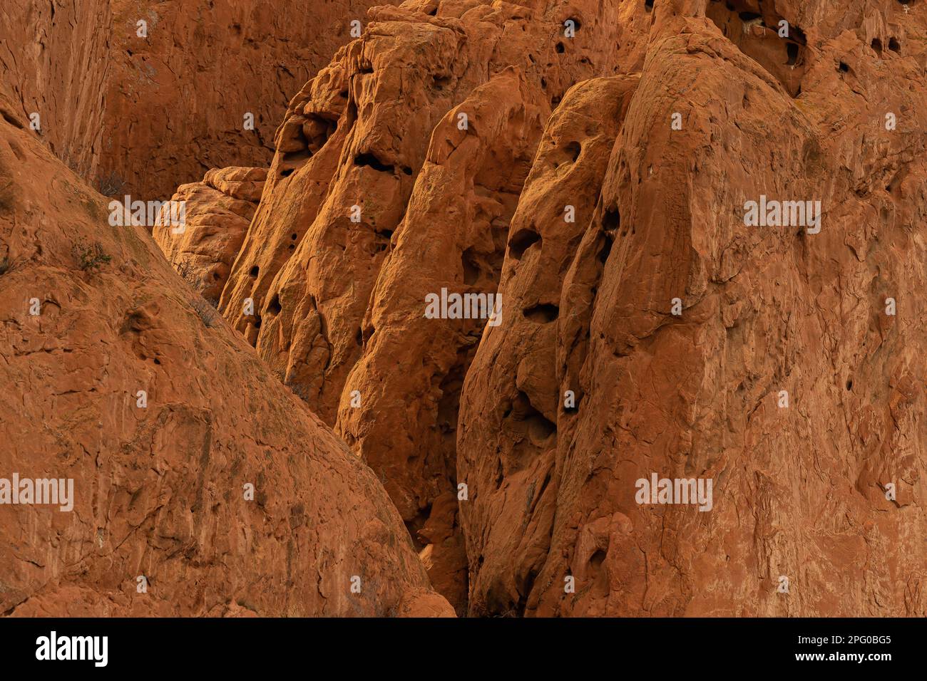 Rote Sandsteinfelsen mit interessanter Textur, Gruben, Stechspuren, Wind- und Wassererosion, Spalten, glatten Kanten, Bäume, die Flossen der Felsen wachsen Stockfoto