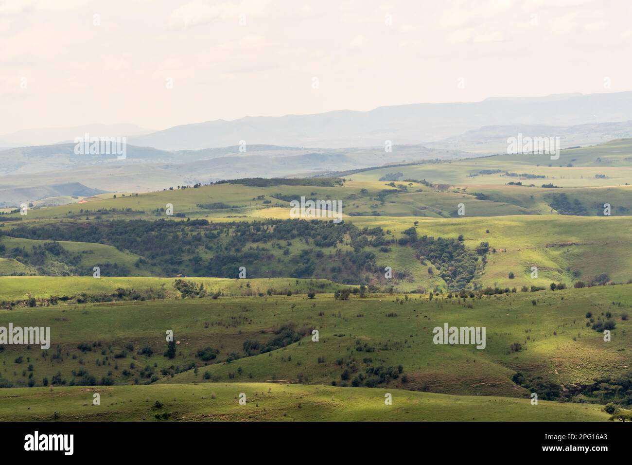 Sanfte grüne Hügellandschaft von Kwaulu Natal, Südafrika von oben oder mit Blick nach unten Stockfoto