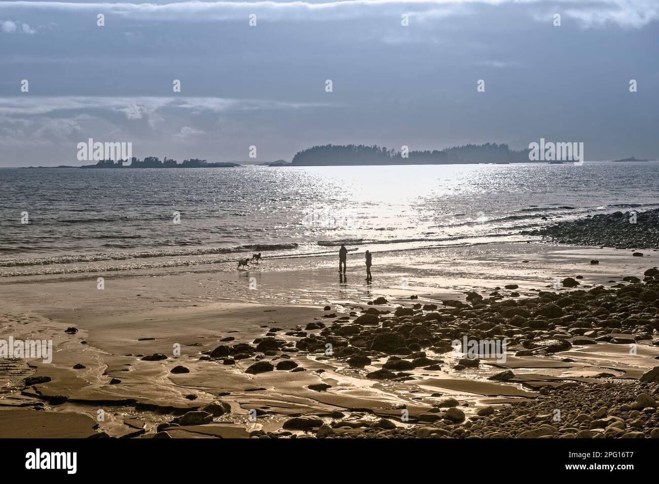 Zwei Personen laufen und zwei Hunde laufen am Sandy Beach in Sitka, Alaska, USA Stockfoto