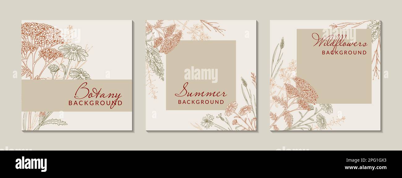 Meadow Flowers – Postvorlage für Social Media Square. Handgezeichnete Feldumrandung mit Wildblumen. Vektordarstellung im Skizzenstil. Ästhetisches Botaniedesign Stock Vektor