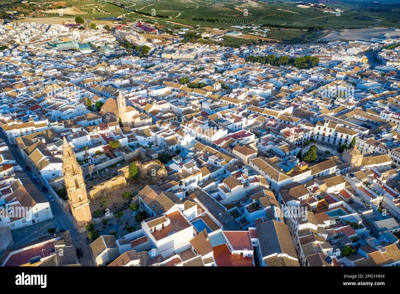 Die Altstadt von Estepa in der Provinz Sevilla, Andalusien, Südspanien, aus der Vogelperspektive. Blick über die Stadt mit dem Torre de la Victoria. Diese große 40-Meter-Hi Stockfoto