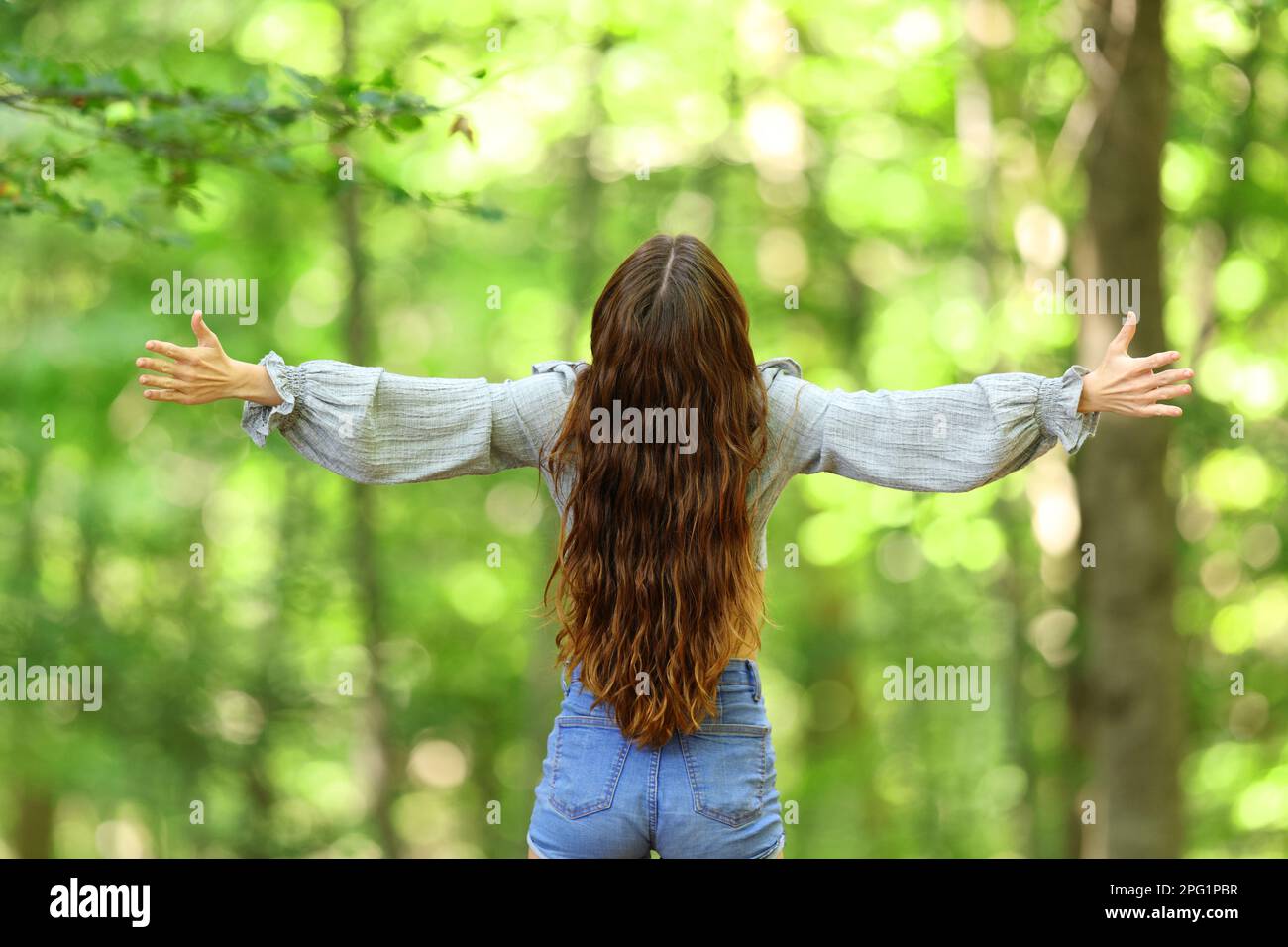 Rückblick auf das Porträt einer Frau, die sich die Arme ausstreckt und in einem Wald feiert Stockfoto