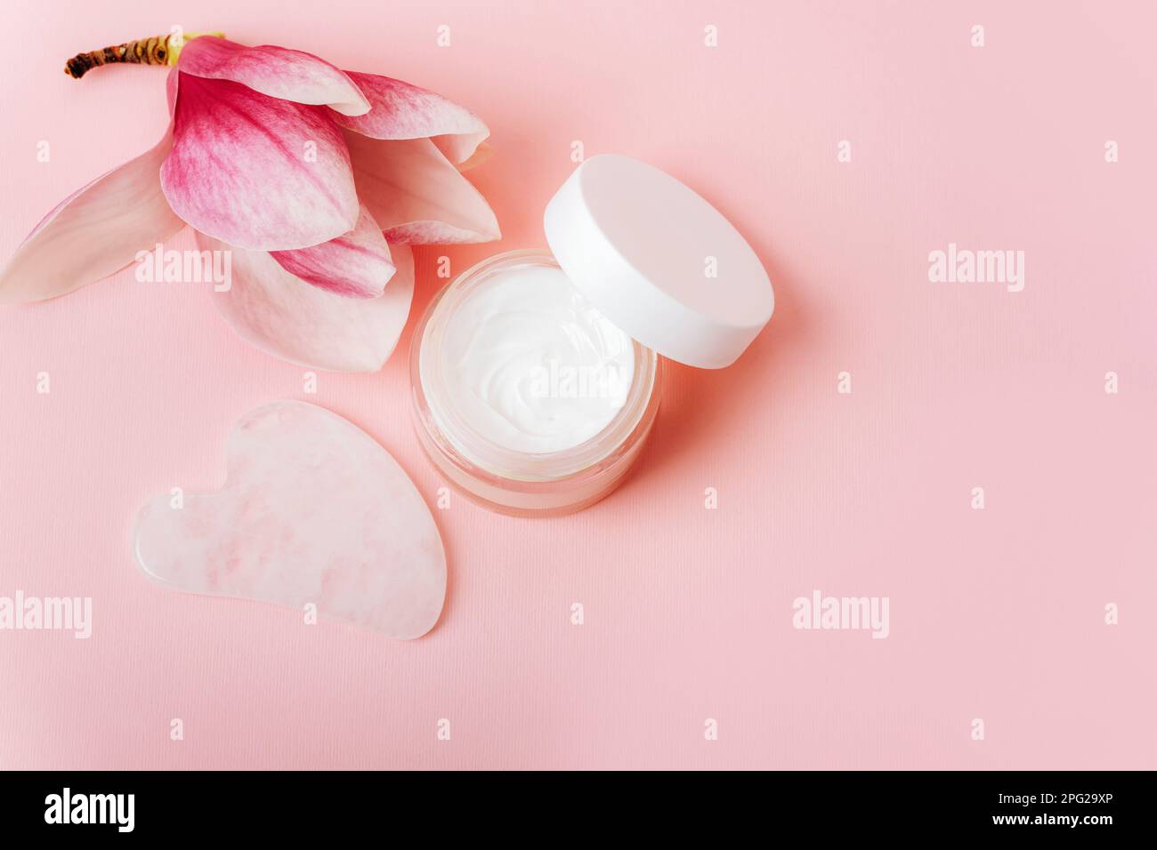 Kosmetikcreme und Gua-Sha-Stein zur Schönheitsmassetherapie. Flach auf pinkfarbenem Hintergrund mit Magnolienblüten. Speicherplatz kopieren. Stockfoto