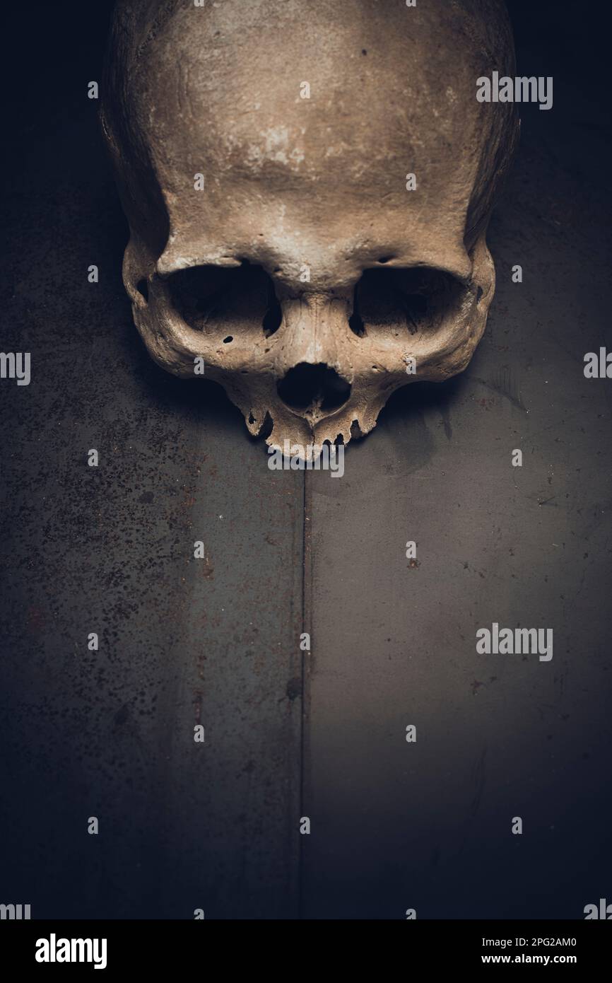 Menschlicher Schädel auf metallischem Hintergrund Stockfoto