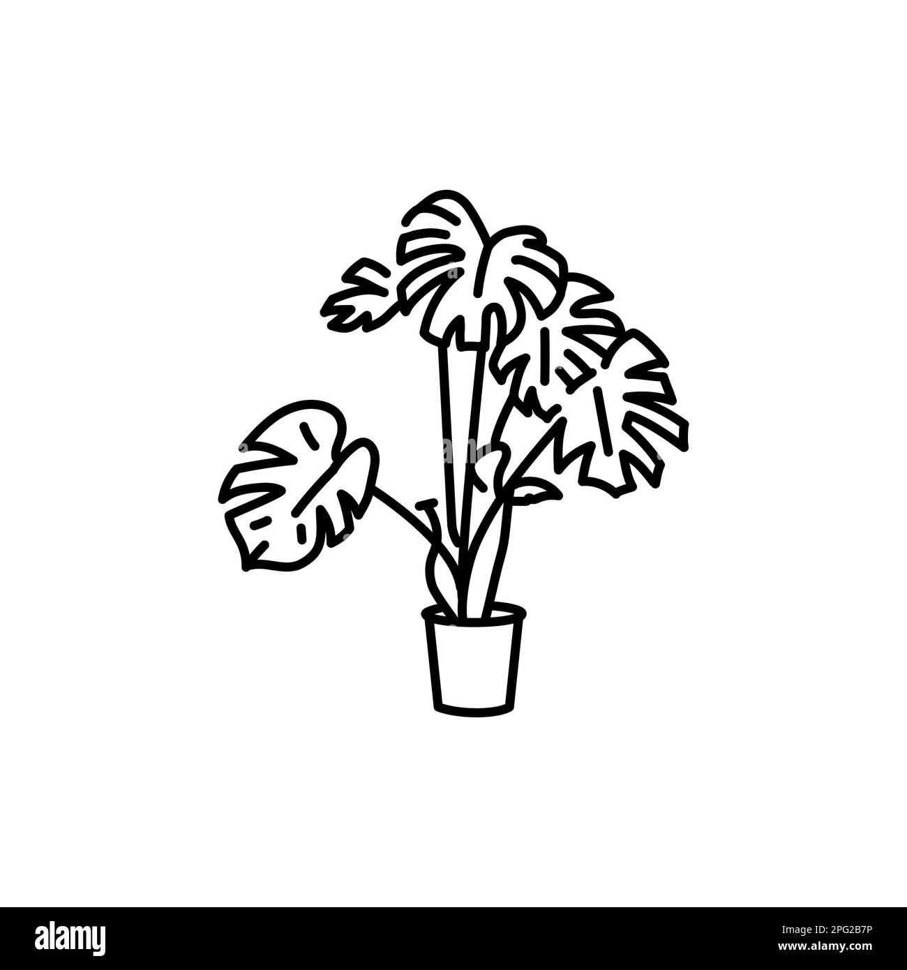 philodendron in seramis Philodendron Serpens x Verrucosum – Plantamani Plants main image 1