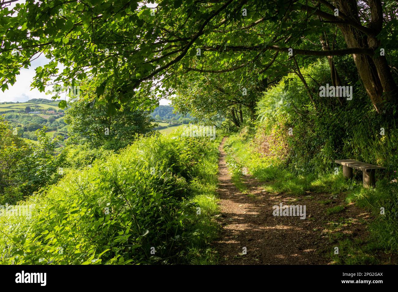 Fußweg um Hillsborough, Ilfracombe, North Devon, Großbritannien Stockfoto