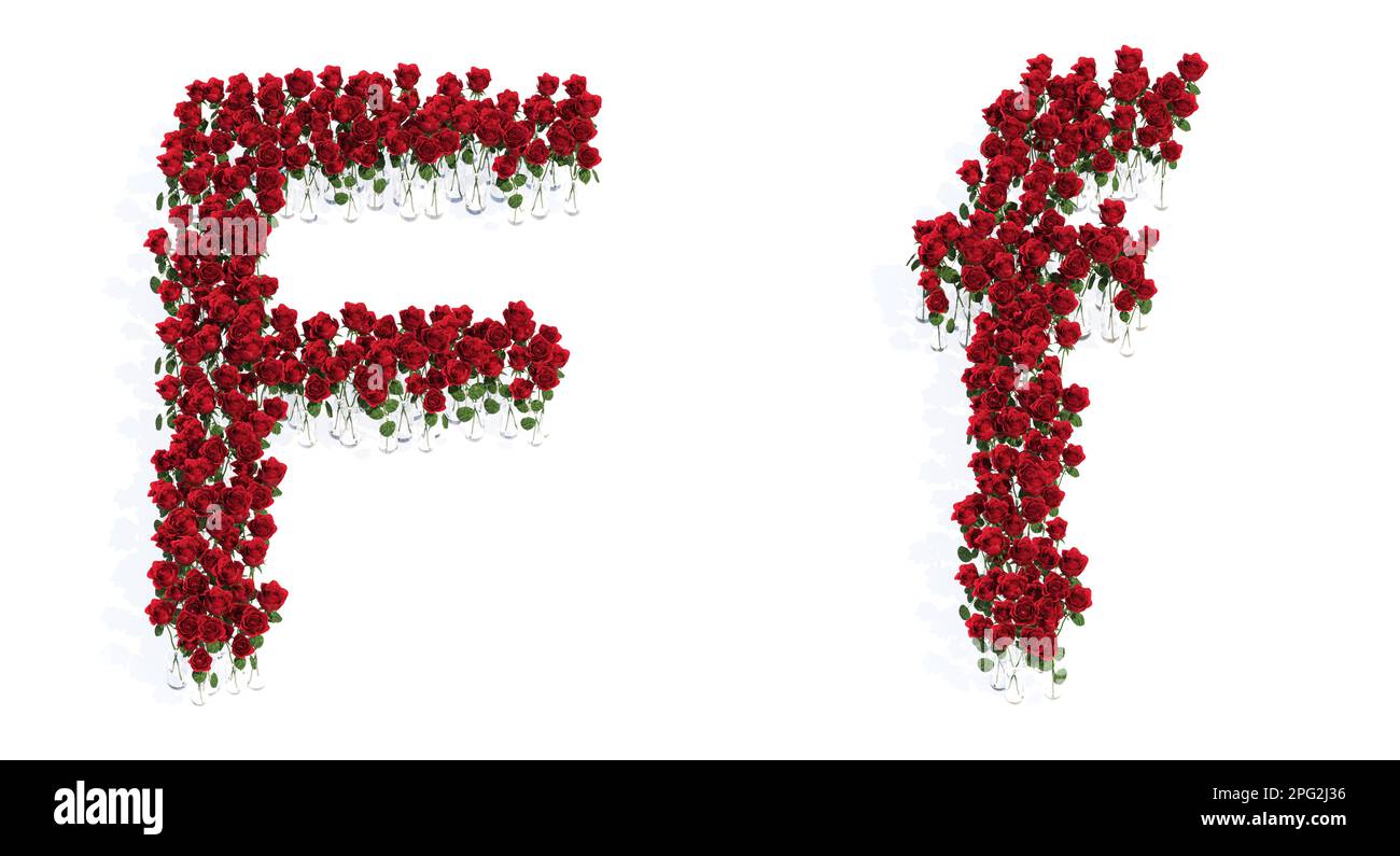 Konzept oder konzeptionelles Set schöner blühender roter Rosensträuße, die die Schriftart F. 3D Illustration Metapher für Bildung, Design und Dekoration bilden, Stockfoto