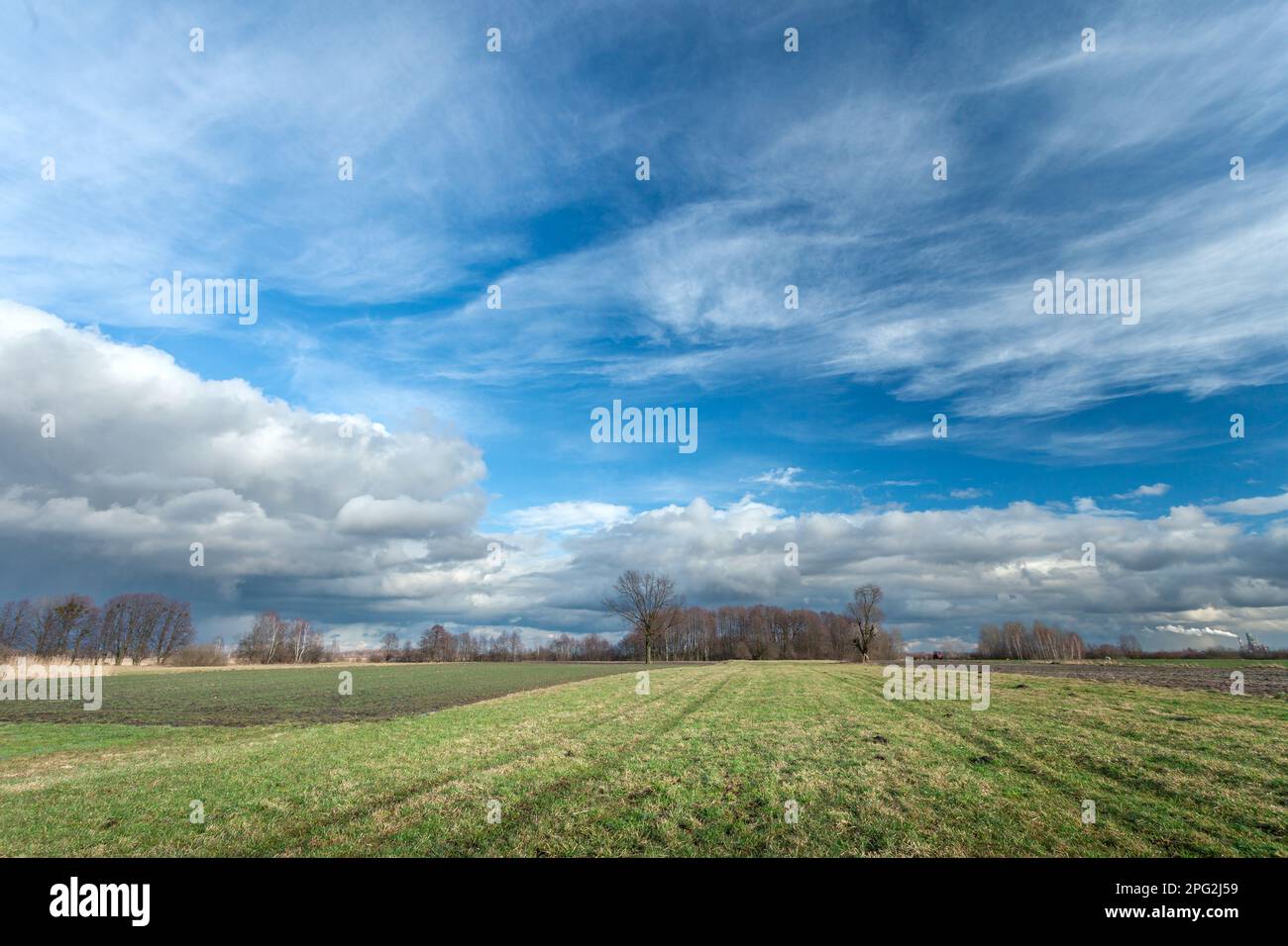 Wolken am blauen Himmel über der Wiese, Nowiny, Polen Stockfoto