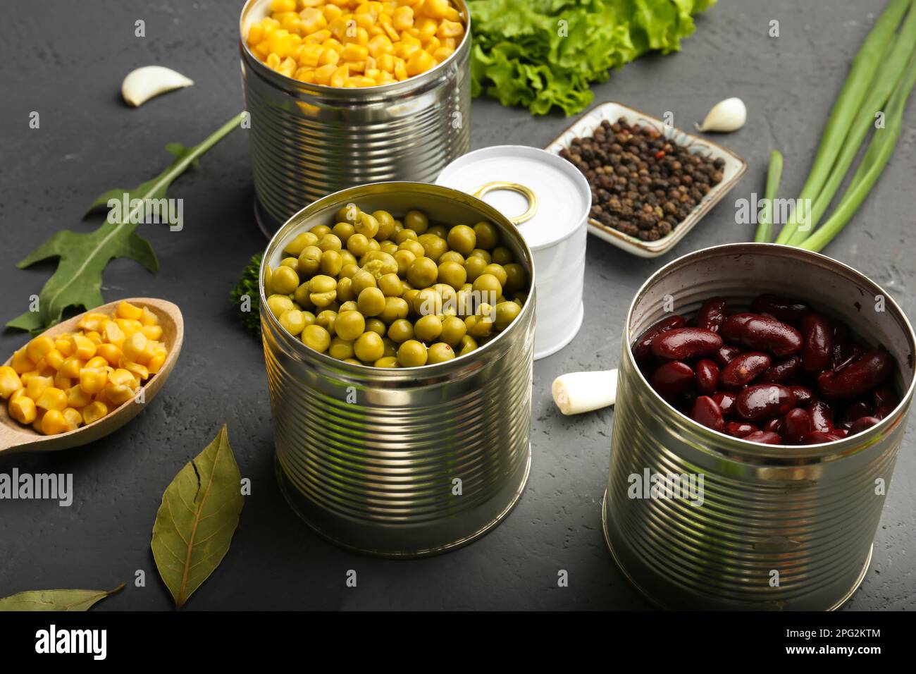 Dosenbohnen. Nützliche Spurenelemente. Zutaten zum Kochen. Richtige Ernährung, nicht-GVO. Bio-Lebensmittel. Konserven, Langzeitlagerung. Stockfoto