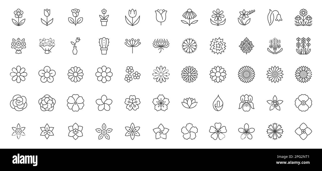 Symbole für Blumenlinien festgelegt. Blühende Pflanzen - Rosen, Tulpen, Gänseblümchen, Sonnenblumen, Lotus, Kamille, Löwenzahn, Chrysanthemen, Lilienvektordarstellung Stock Vektor