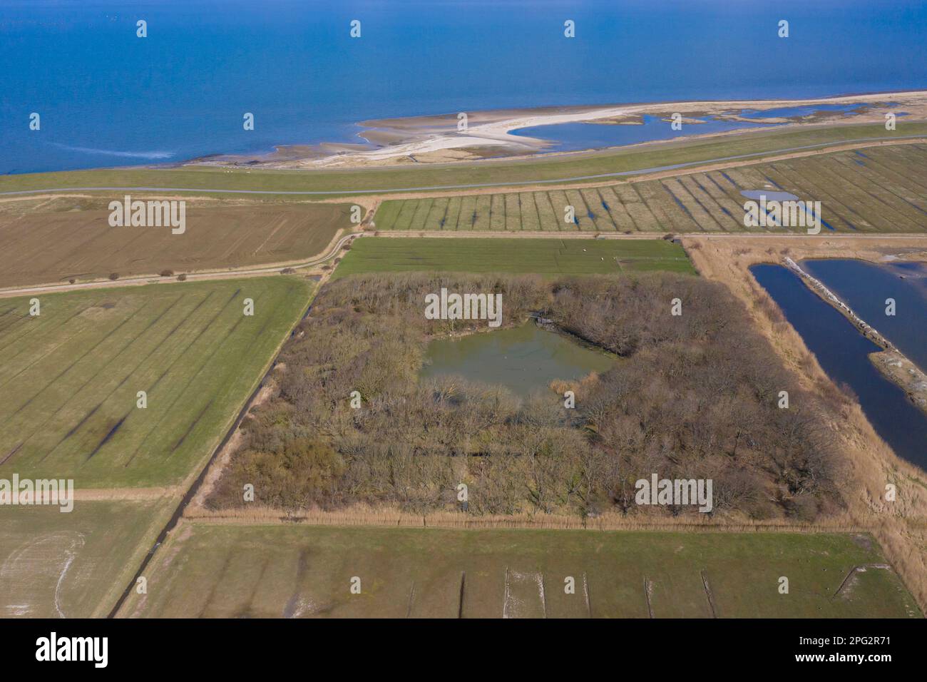 Blick auf den historischen EntenKöder (Vogelkoje) in Oldsum, Insel Foehr, Nordfriesien, Schleswig-Holstein, Deutschland. Ein Gerät zum Fangen und Töten von Enten Stockfoto