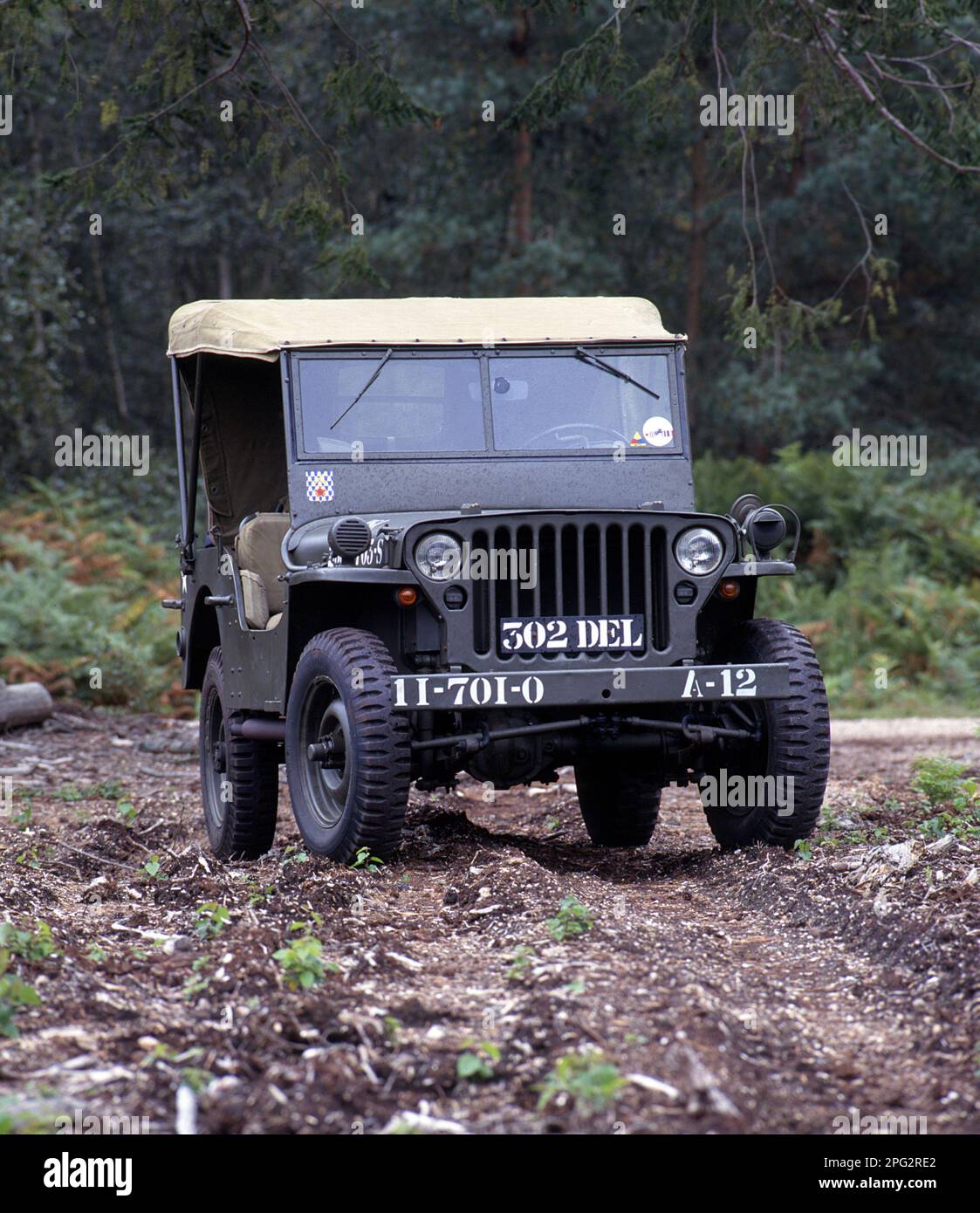 1943 Willys Jeep Stockfoto