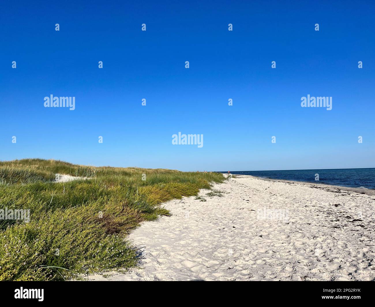 Eine wunderschöne, ruhige Landschaftsaufnahme des Sandstrands Dueodde, der zum Meer führt Stockfoto