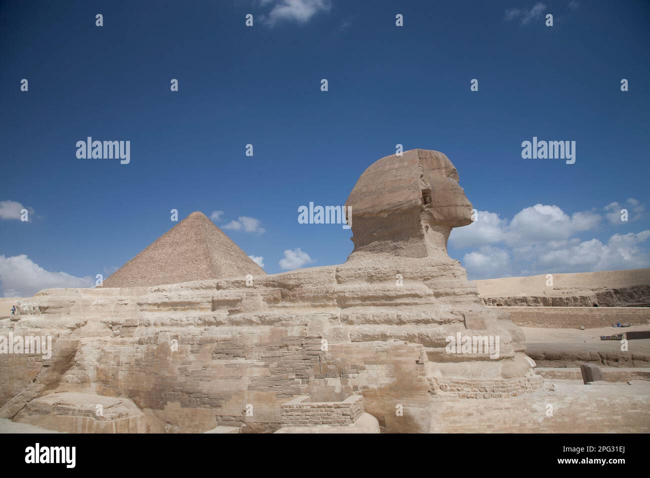 Die Sphinx in Gizeh, Ägypten. Stockfoto