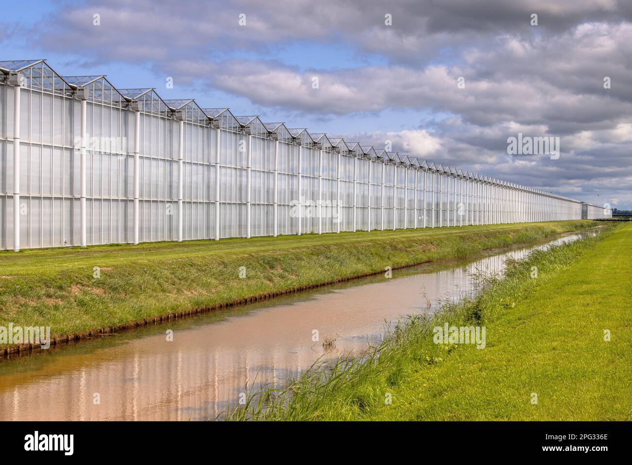 Gewächshausbau in den Niederlanden. Lebensmittelindustrie mit riesigen Gebäuden. Stockfoto