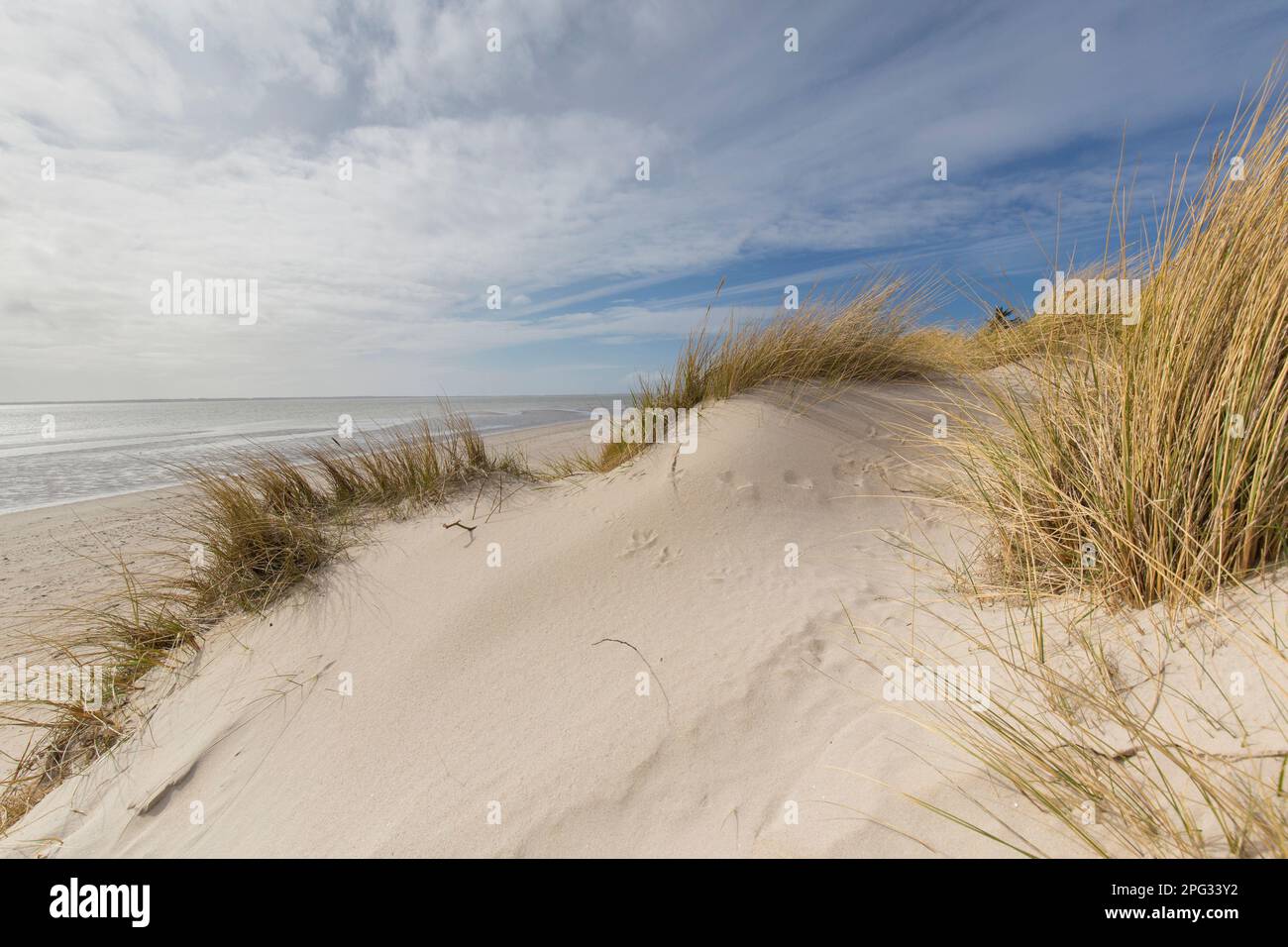 Klippe bei Goting, Insel Foehr, Nordfriesien, Schleswig-Holstein, Deutschland Stockfoto