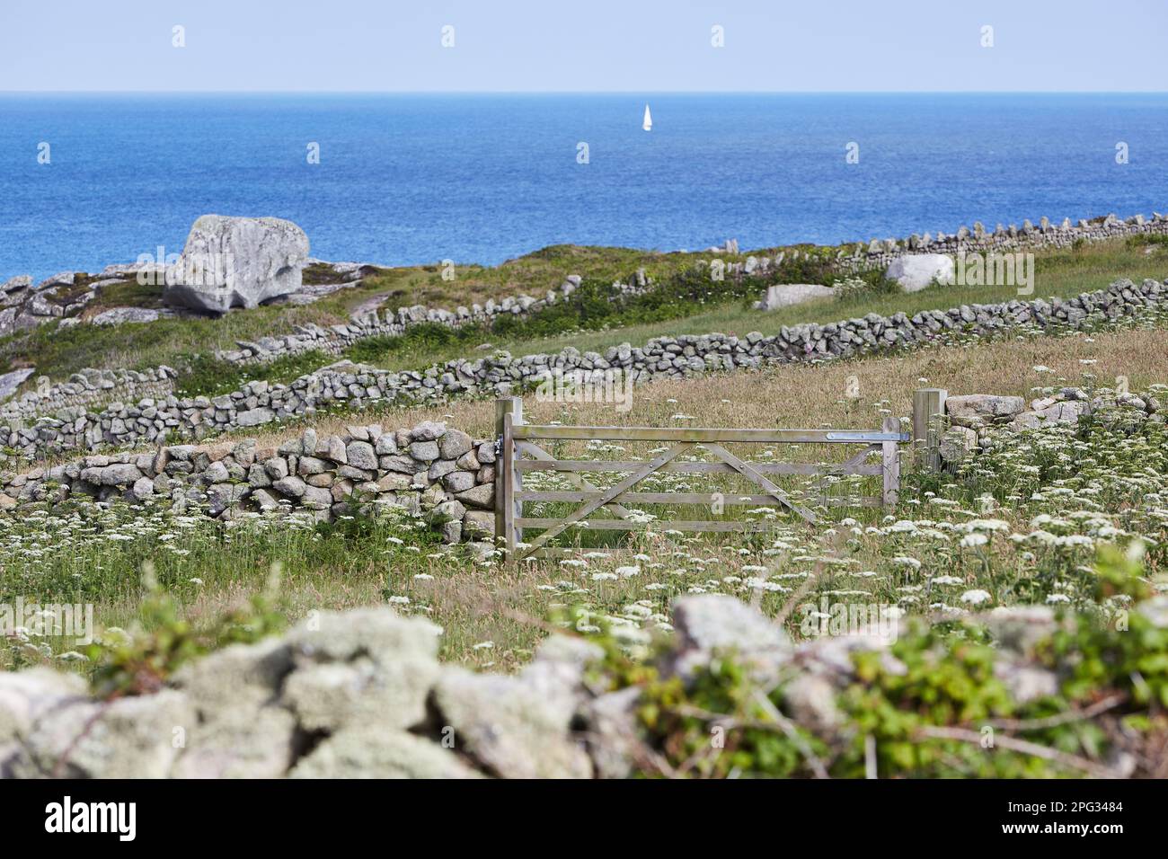 Isles of Scilly, Großbritannien - Alte Steinmauer, Wiesen in der Nähe von Peninnis Head, Ozean mit Segelboot im Hintergrund Stockfoto