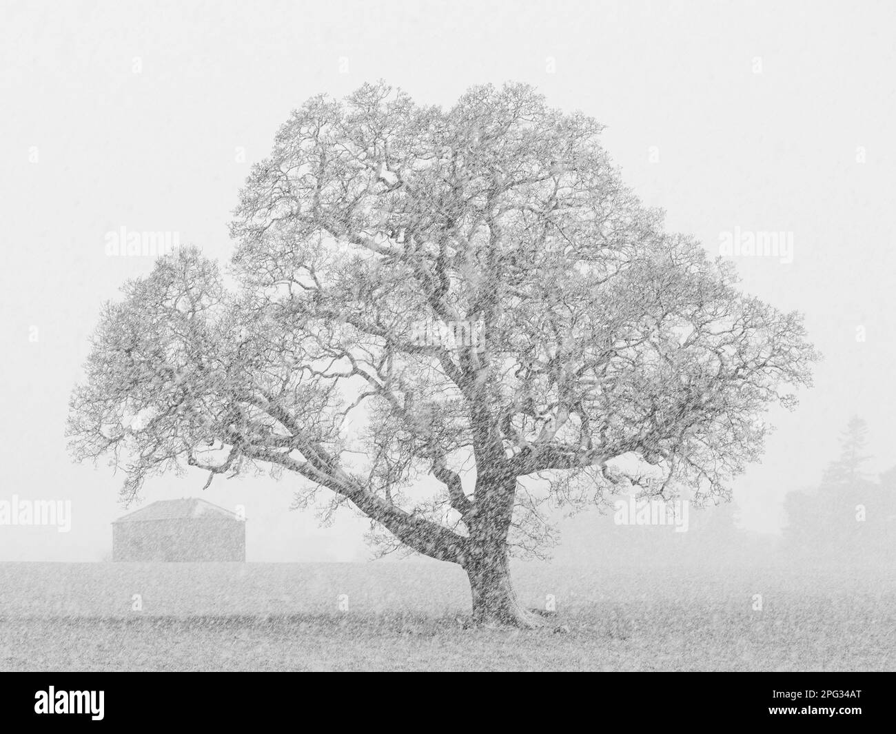 England, County Durham, Barnard Castle. Ein Schneefall im Frühling erzeugt Schneestürme wie Schneestürme auf dem Bauernhof in der Nähe von Barnard Castle. Stockfoto