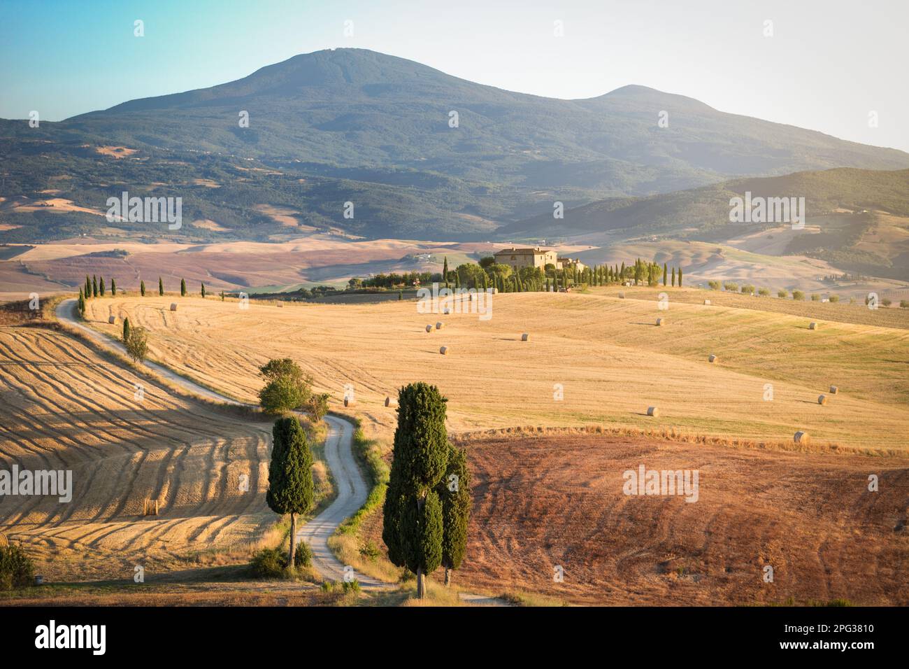 Im Herbst zeigen die toskanischen Felder verschiedene Gelb- oder Brauntöne. Die besten Jahreszeiten für einen Besuch des Val d'Orcia sind Herbst oder Spätfrühling. Stockfoto