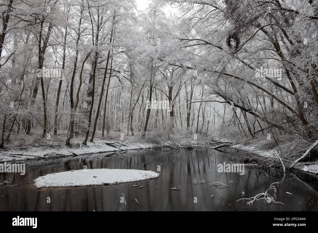 Schöner Winterspaziergang durch ein kleines deutsches Naturschutzgebiet, Niederrhein bei starkem Schneefall Stockfoto